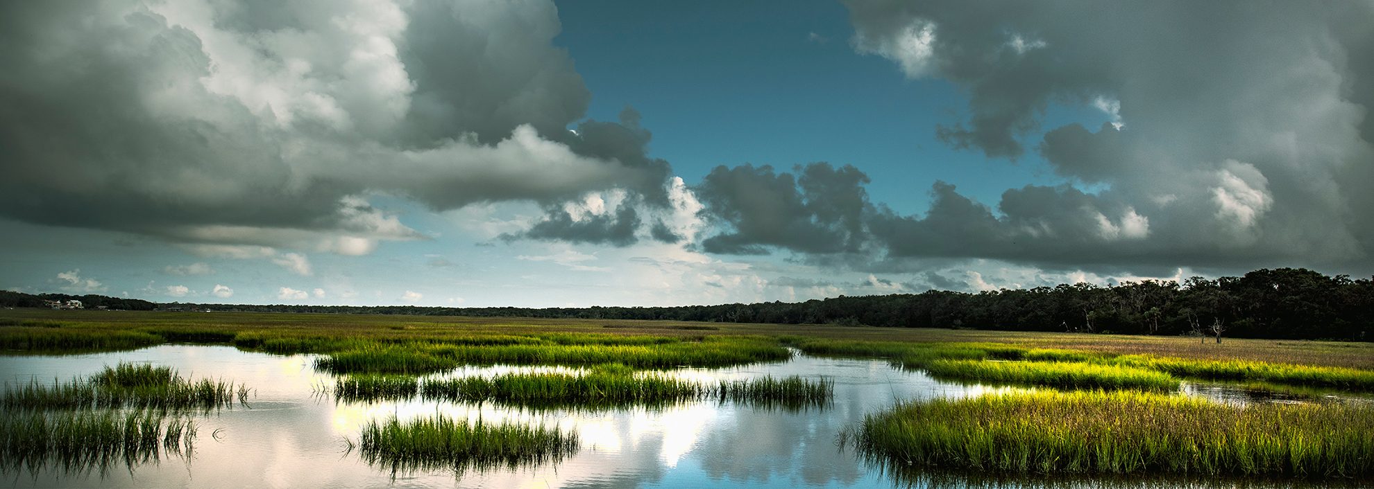 Marshes of Georgia
